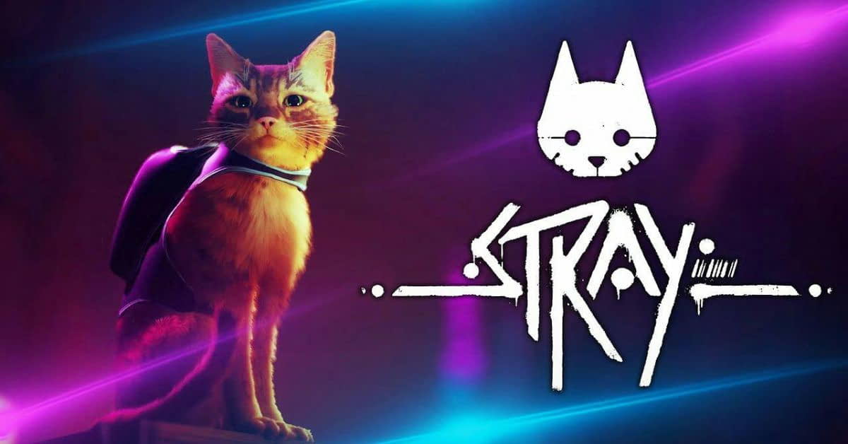 game stray - Wacky Track